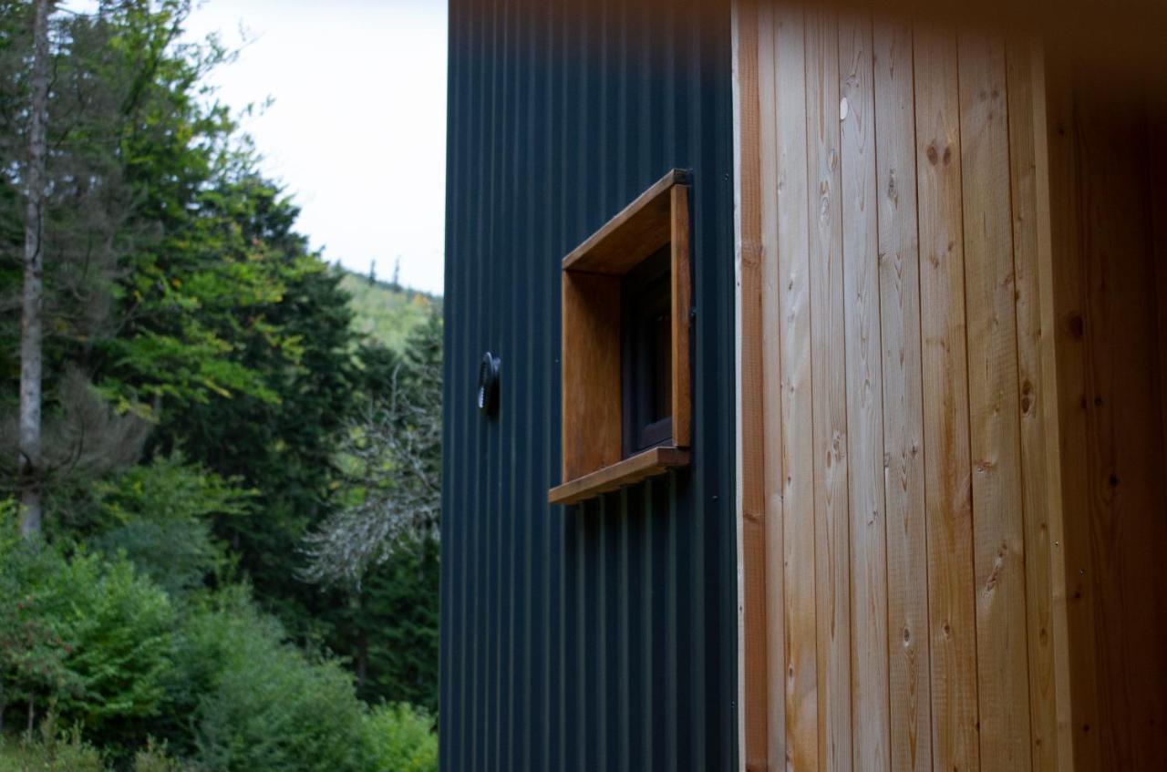 Villa Panorama / Tinyhouse à Podbrezova Extérieur photo